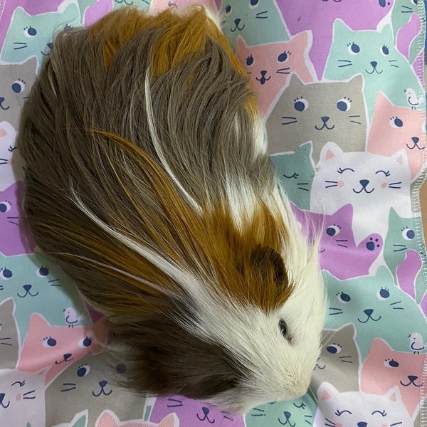 Happy Mats - Extra Small Size (Est 75 x 45cm) - Image 8