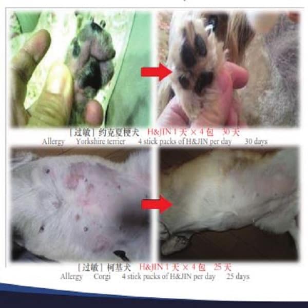 H&JIN Probiotics for Pets 90 Sachets (90gm) - Image 6