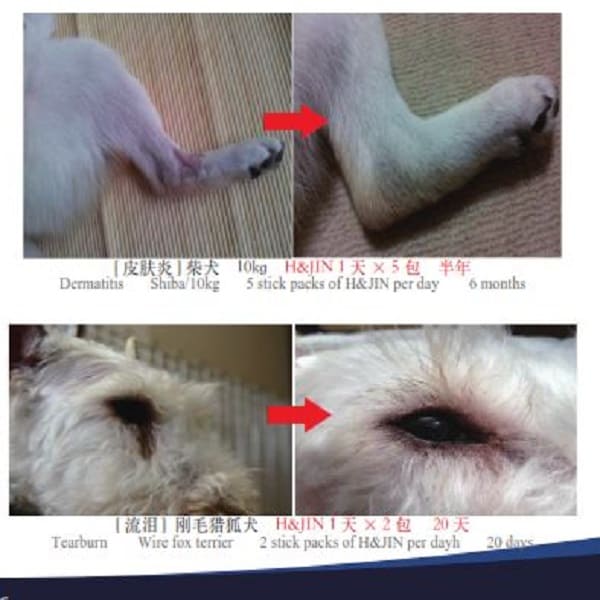 H&JIN Probiotics for Pets 90 Sachets (90gm) - Image 7